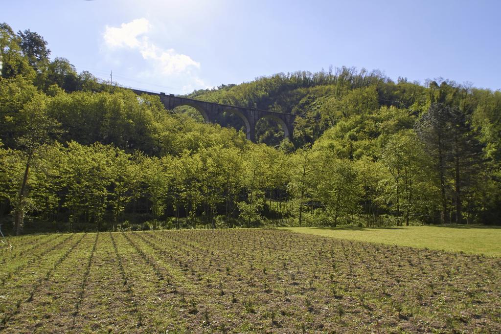 Podere Campofossato Pistoia Buitenkant foto